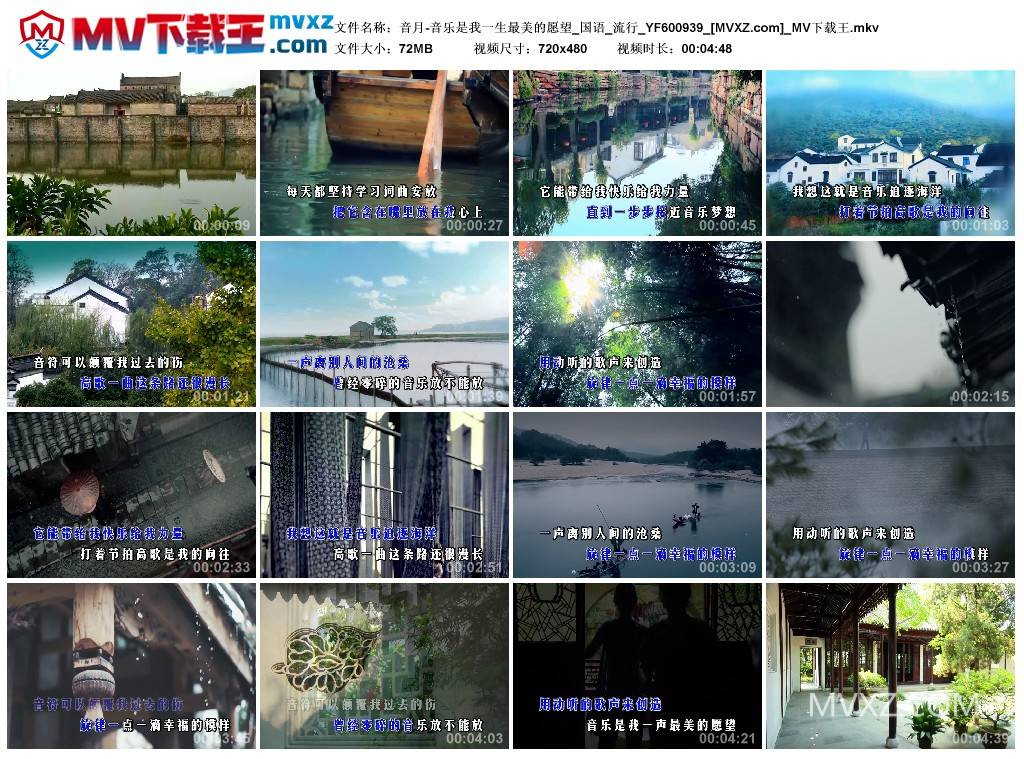 音月-音乐是我一生最美的愿望_国语_流行_YF600939